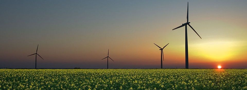 Impulso a las energías renovables con la nueva Directiva de Mercado Eléctrico