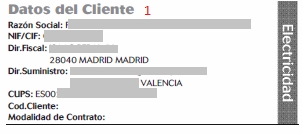 Datos cliente factura luz 3.1