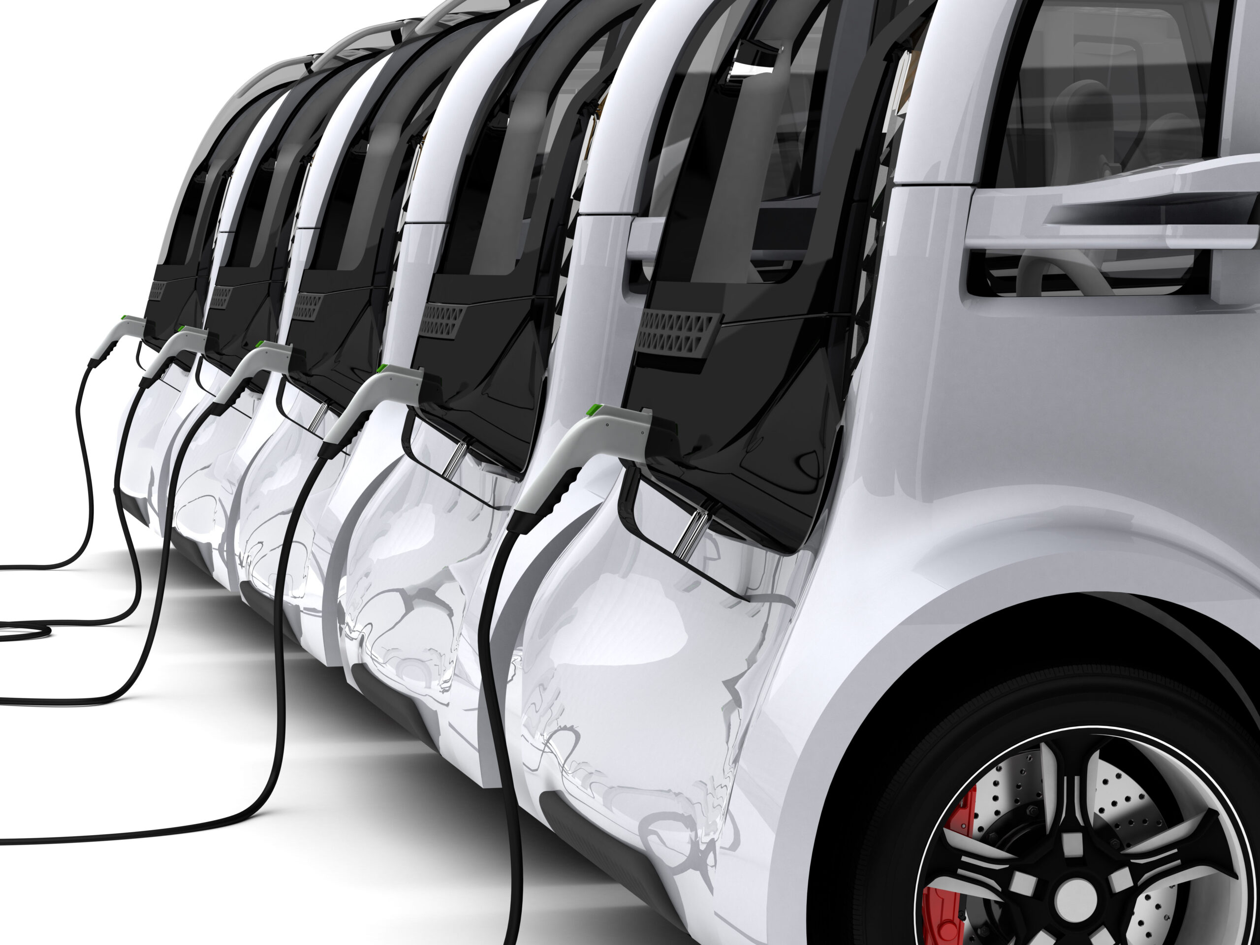 White Paper on Electric Vehicle
