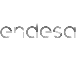 logo-spain_0002s_0041_endesa